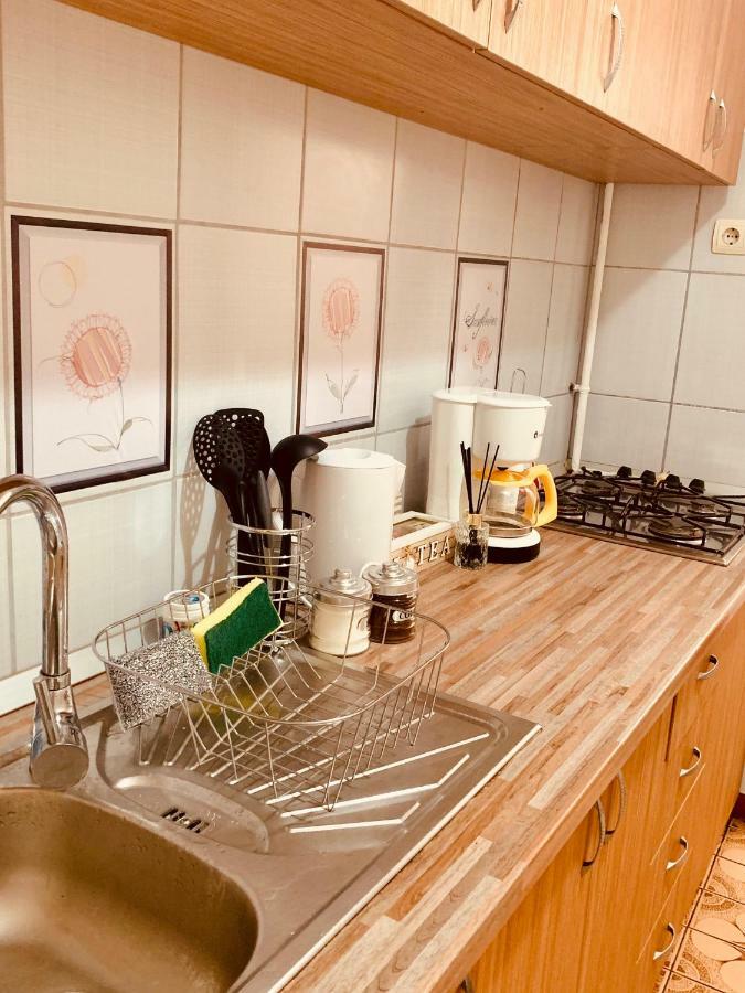 Ultracentral Apartment With All You Need: Wifi, Tv, Ac, Washer, Coffe Timisoara Bagian luar foto