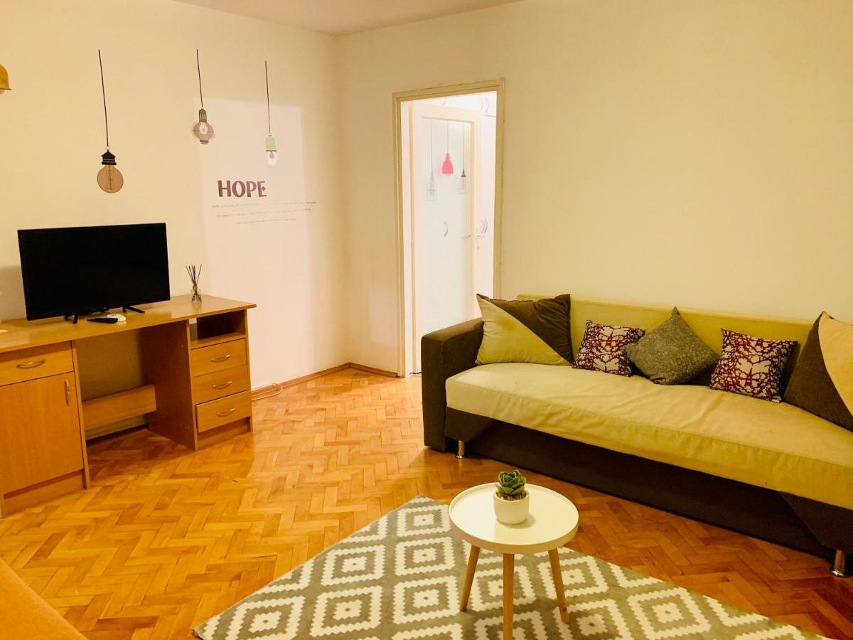 Ultracentral Apartment With All You Need: Wifi, Tv, Ac, Washer, Coffe Timisoara Bagian luar foto