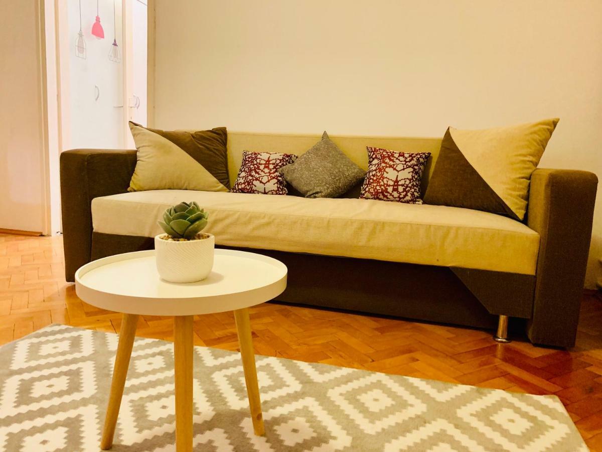 Ultracentral Apartment With All You Need: Wifi, Tv, Ac, Washer, Coffe Timisoara Bagian luar foto
