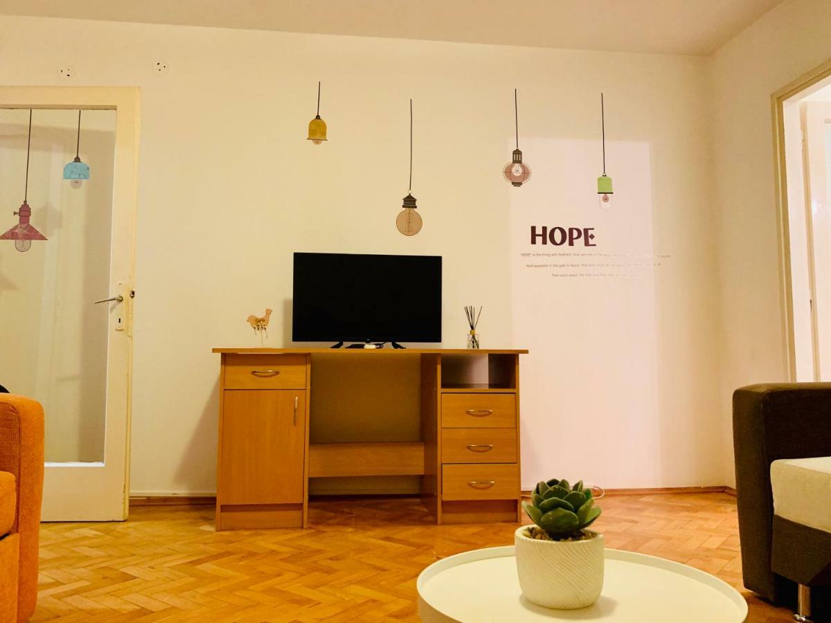 Ultracentral Apartment With All You Need: Wifi, Tv, Ac, Washer, Coffe Timisoara Bagian luar foto