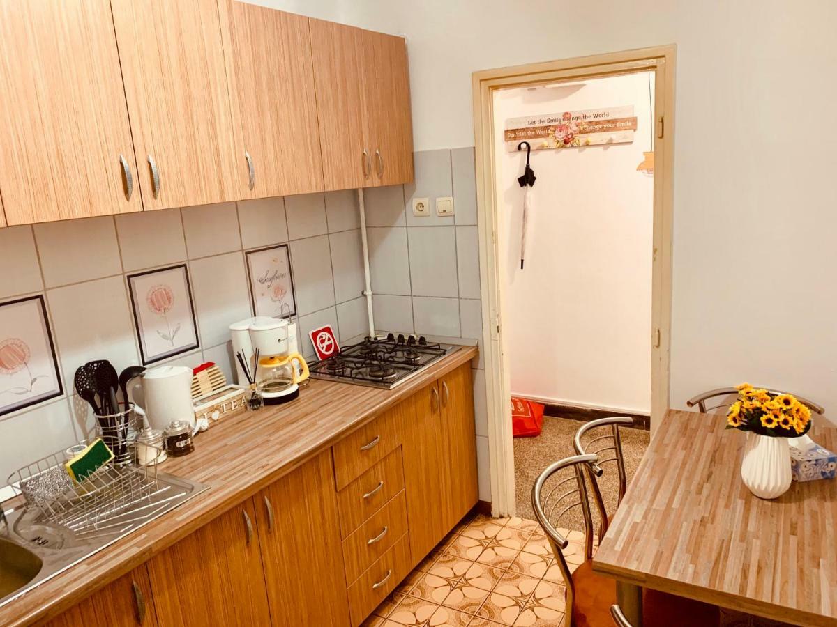 Ultracentral Apartment With All You Need: Wifi, Tv, Ac, Washer, Coffe Timisoara Bagian luar foto